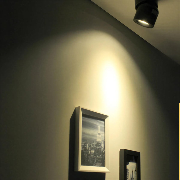 Adjustable Ceiling Mounted Spotlight With Directional Focused Beam