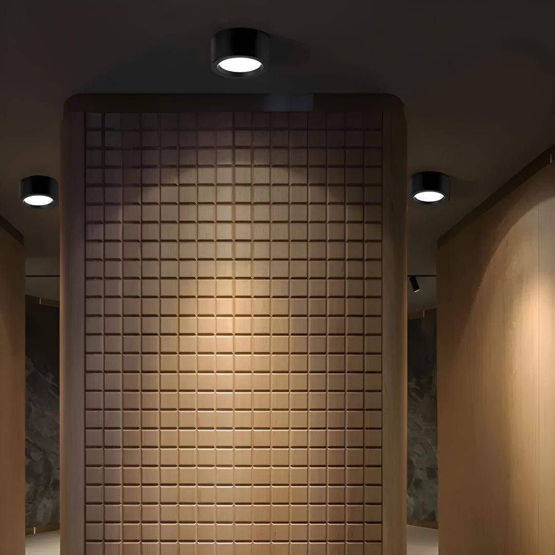 Flush Mounted Ceiling Downlight With Modern Circular Design