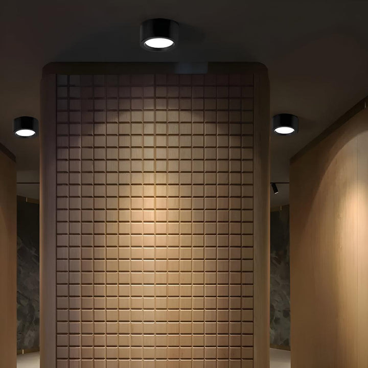 Flush Mounted Ceiling Downlight With Modern Circular Design