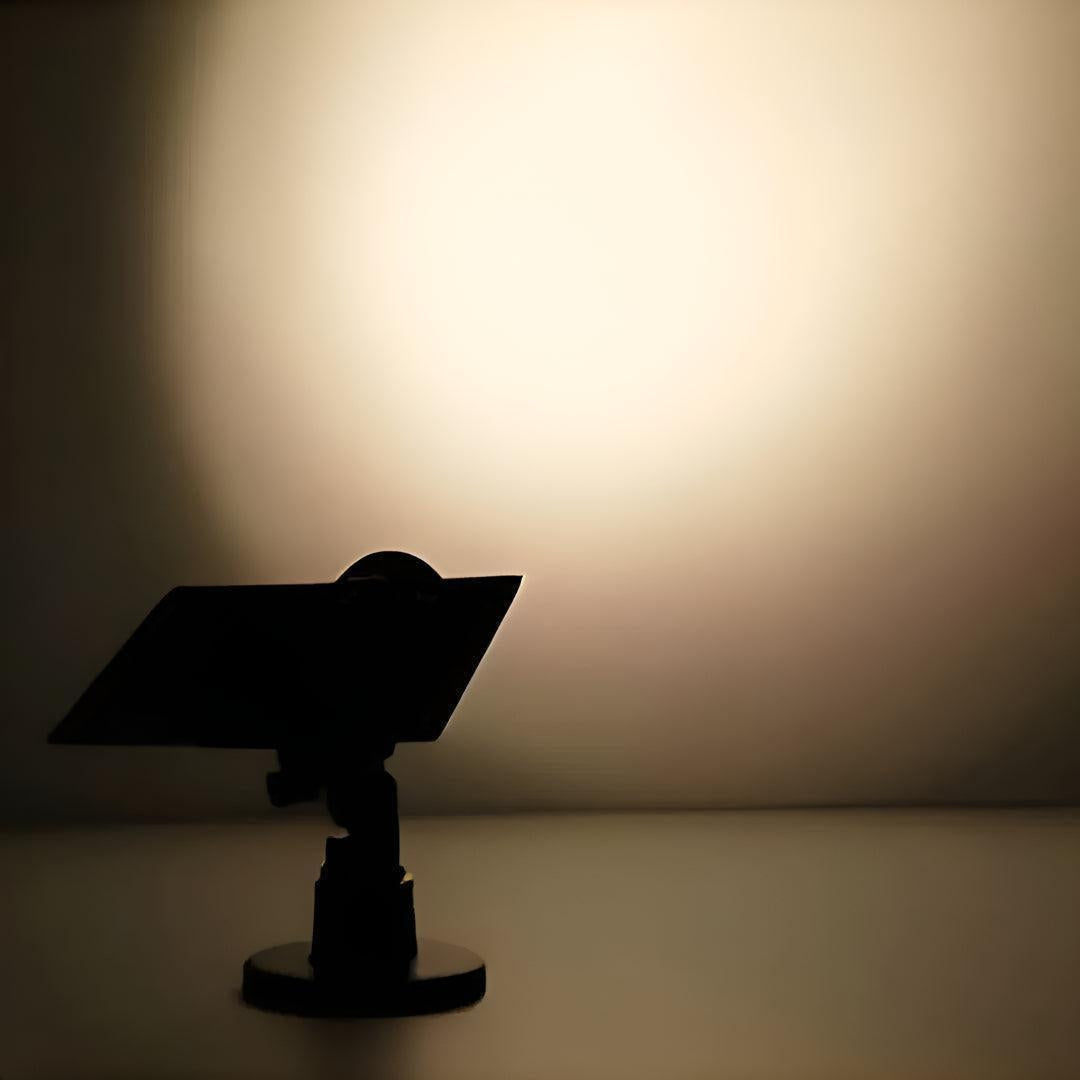 Outdoor Adjustable Solar Spot Lights For Garden Lighting