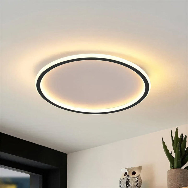 Round Flush Mount Ceiling Light With Interior Illumination