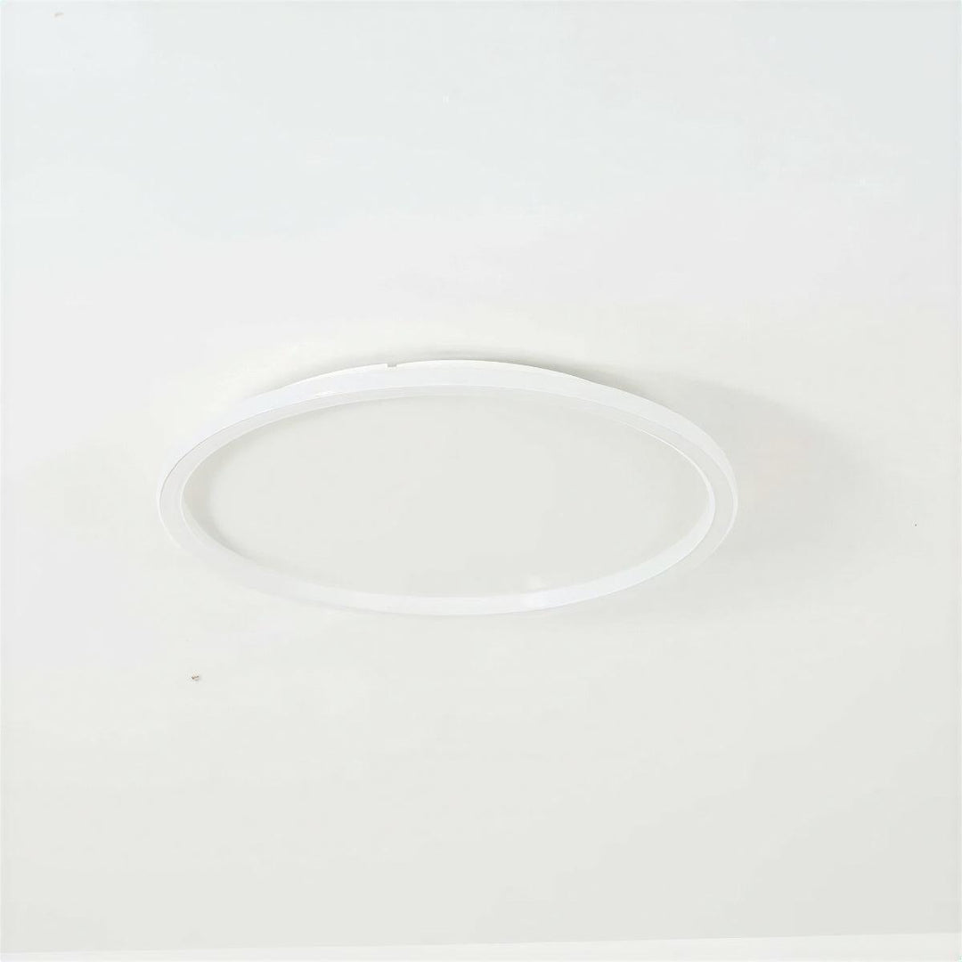 Round Flush Mount Ceiling Light With Interior Illumination