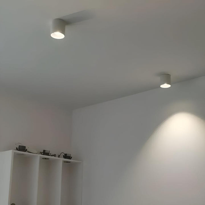 Surface Flush Mounted Downlight With Modern Cylinder Design