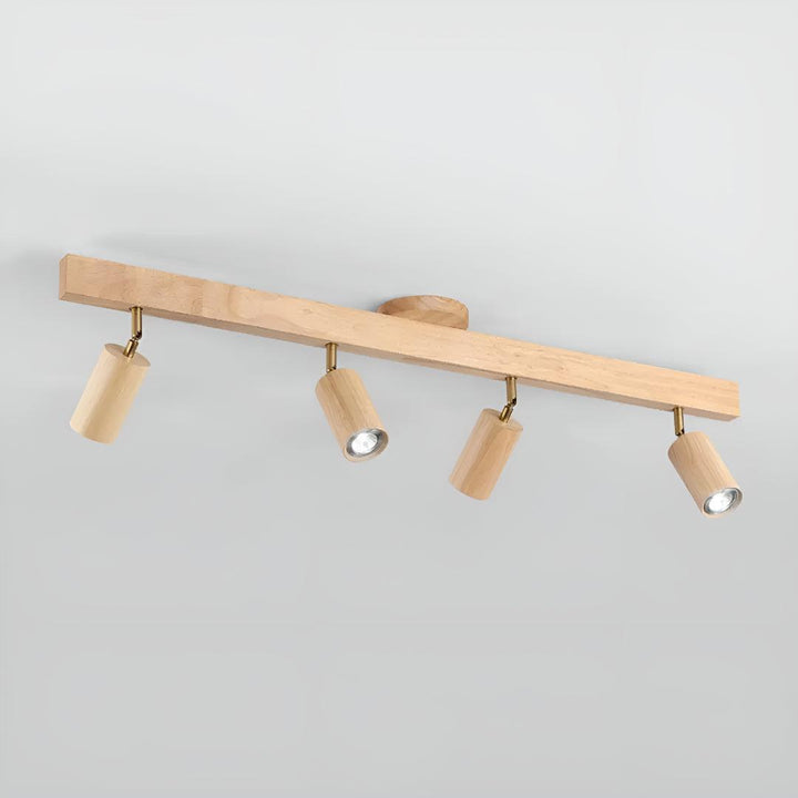 Track Ceiling Light With Adjustable Rotatable Spotlight Heads