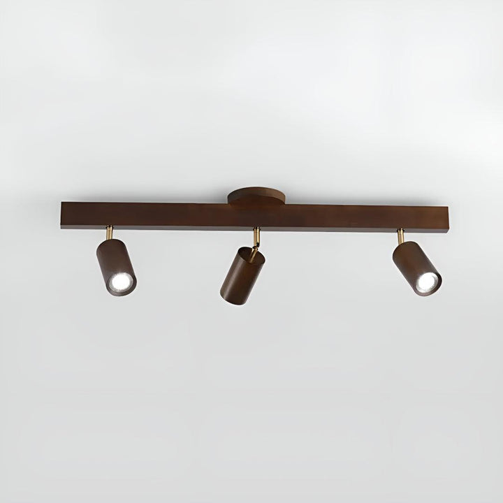 Track Ceiling Light With Adjustable Rotatable Spotlight Heads