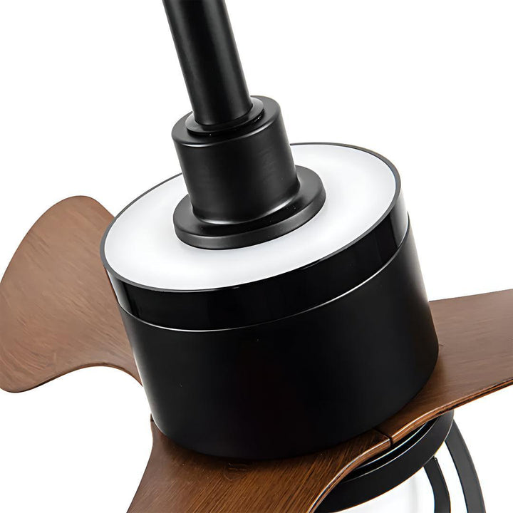 Vintage Ceiling Fan Light And Remote Control